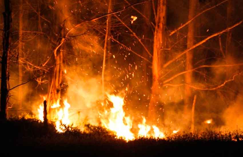 Cuatro Bomberos lesionados por incendio forestal.