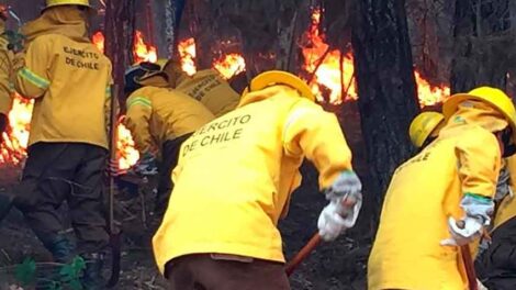 Decretan estado de catástrofe en Chile por incendios forestales