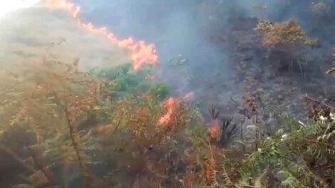 Mueren dos voluntarios que ayudaban a extinguir incendio forestal