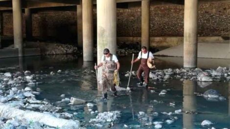 Bomberos rescatan perrita de canal de aguas residuales