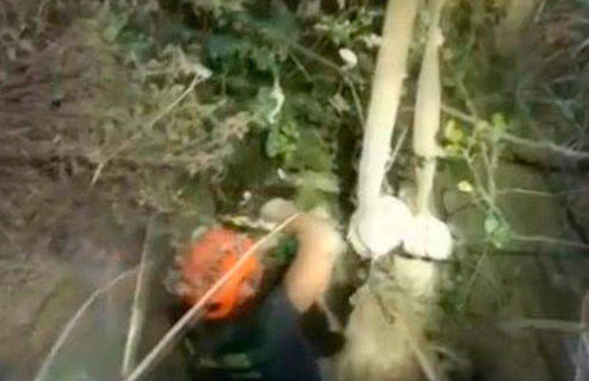 Dos bomberos acaban en el hospital tras rescatar a una vaca
