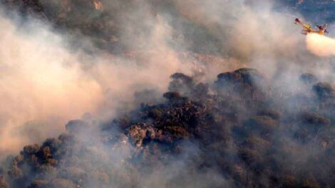 Investigan a un bombero como responsable de incendio forestal