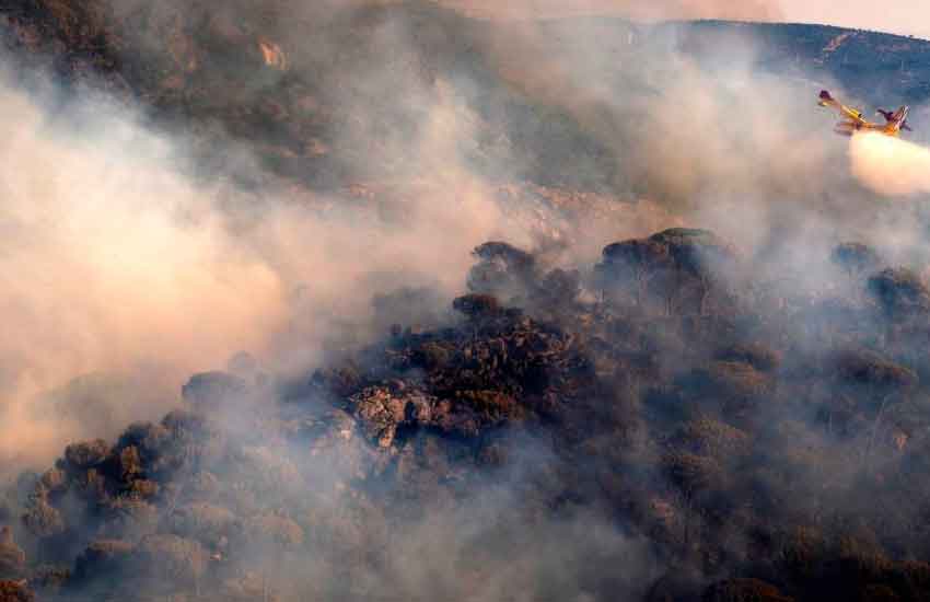 Investigan a un bombero como responsable de incendio forestal
