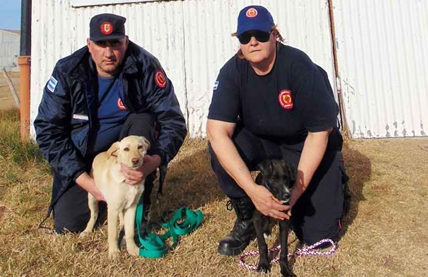 Toby y Mack son los nuevos integrantes de Bomberos de Trenel