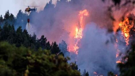 El fuego avanza fuera de capacidad de control en Gran Canaria