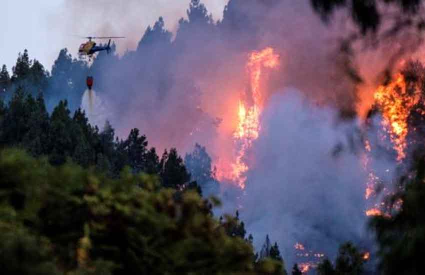El fuego avanza fuera de capacidad de control en Gran Canaria