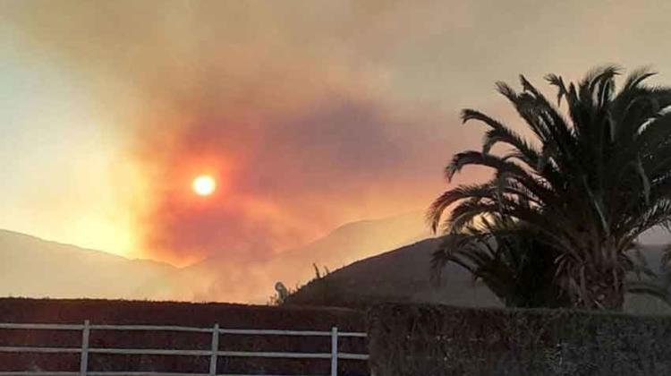 Cinco bomberos lesionados en incendio forestal cerca de Vicuña