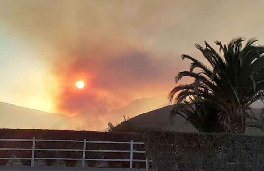 Cinco bomberos lesionados en incendio forestal cerca de Vicuña