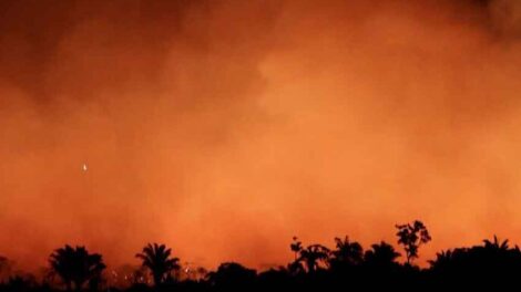 Bomberos Voluntarios Argentinos en Alerta Amarilla