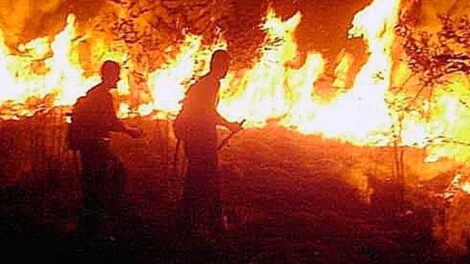 Se hacen pasar por bomberos que van al Amazonas y piden dinero