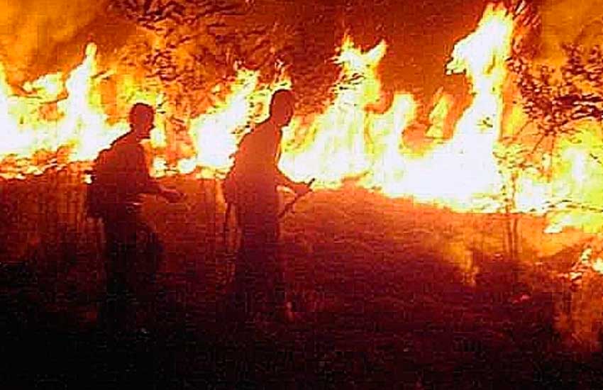 Se hacen pasar por bomberos que van al Amazonas y piden dinero