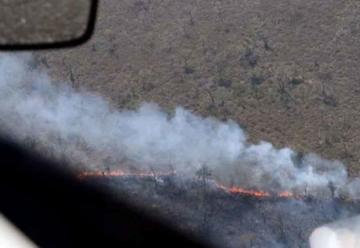 Declaran “estado de desastre” en Bolivia por incendios forestales