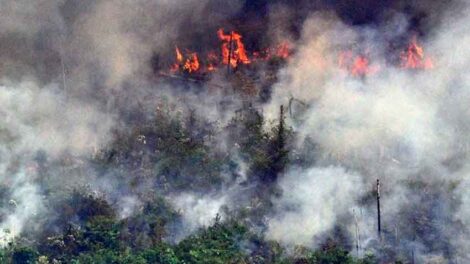 Murió un bombero que combatía el fuego en la Chiquitania boliviana