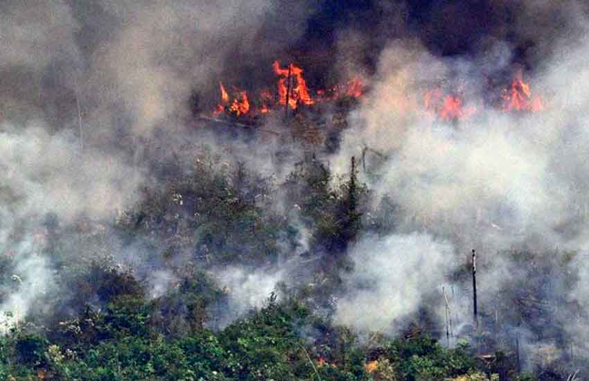 Murió un bombero que combatía el fuego en la Chiquitania boliviana