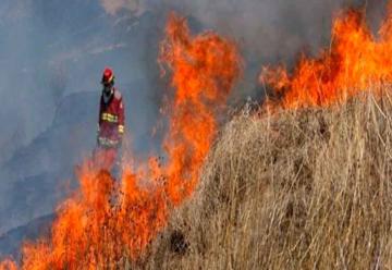 Promueven crear brigadas de bomberos forestales por regiones