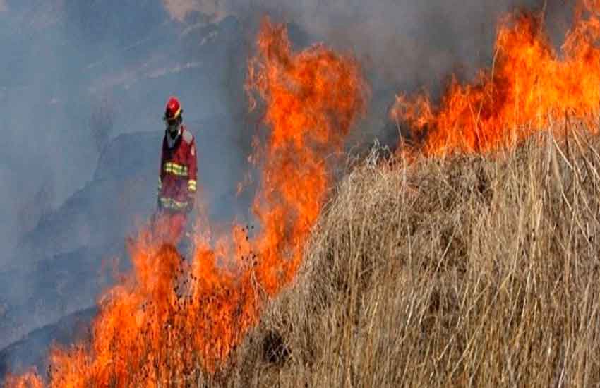 Promueven crear brigadas de bomberos forestales por regiones