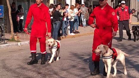 Perras rescatistas del cuartel de bomberos de Cañuelas