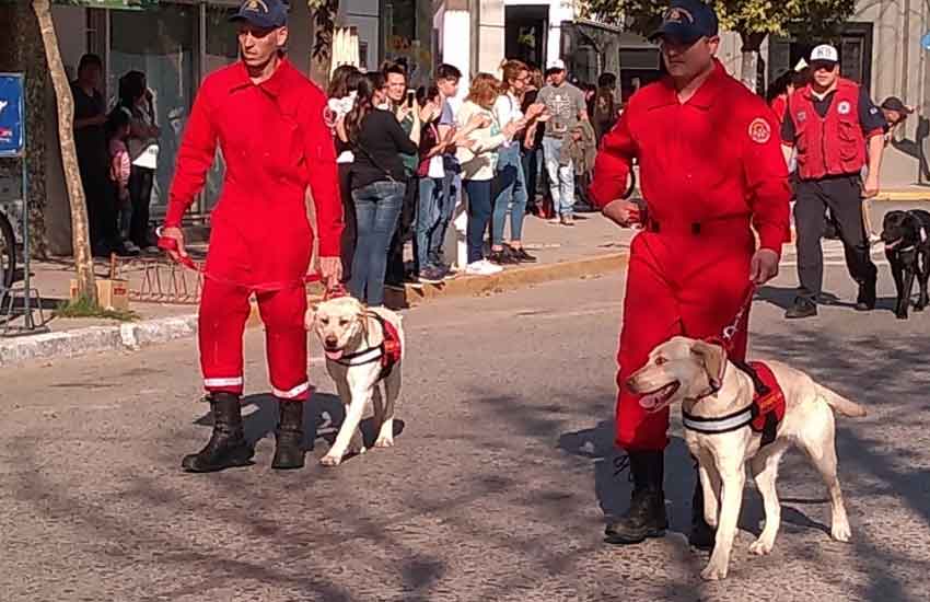 Perras rescatistas del cuartel de bomberos de Cañuelas