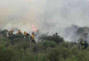 Bomberos heridos en incendio forestal en Sierra de la Ventana
