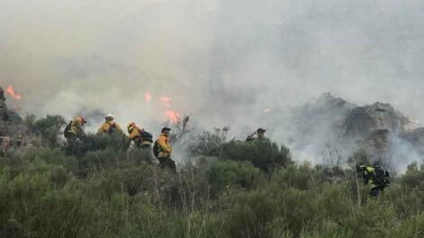 Bomberos heridos en incendio forestal en Sierra de la Ventana