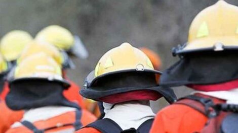 Bomberos Voluntarios Solicitan una Audiencia con Alberto Fernández