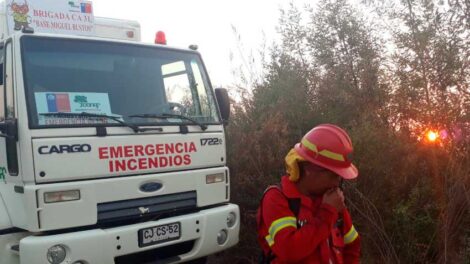 Decretan Alerta Roja por incendio forestal en Lota