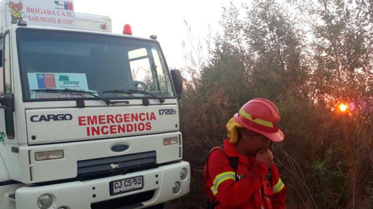 Decretan Alerta Roja por incendio forestal en Lota