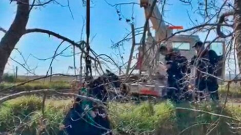 Bomberos rescataron a un caballo que cayó en una zanja