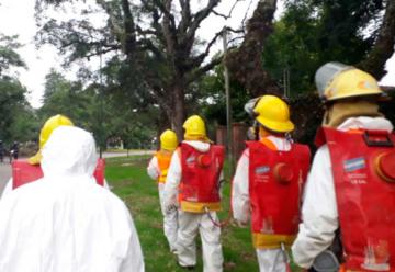 Bomberos Voluntarios de San Lorenzo realiza desinfección