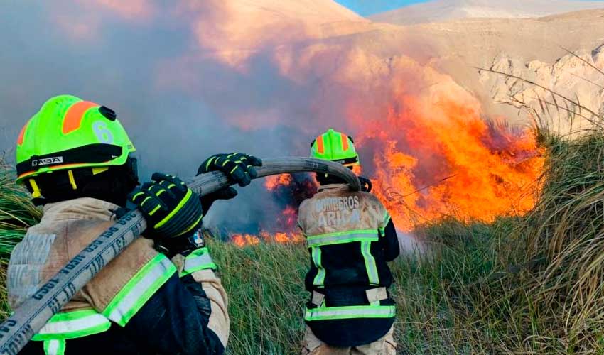 Incendio en Comuna de Camarones Afectó Unas 15 Hectáreas