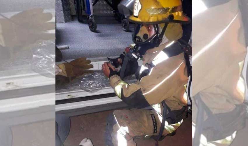Un bombero de Luján rescató a un gato de un incendio