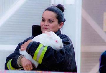 Una bombero rescató a la mascota de una mujer en pleno incendio