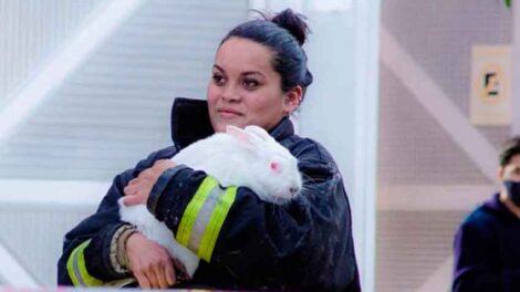 Una bombero rescató a la mascota de una mujer en pleno incendio