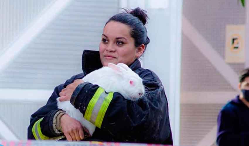 Una bombero rescató a la mascota de una mujer en pleno incendio