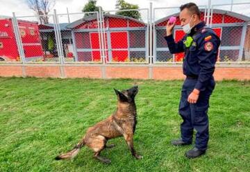 Centro de entrenamiento canino de Bomberos de Bogotá