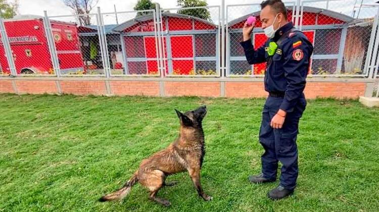nuevo centro de entrenamiento canino del Cuerpo de Bomberos de Bogotá