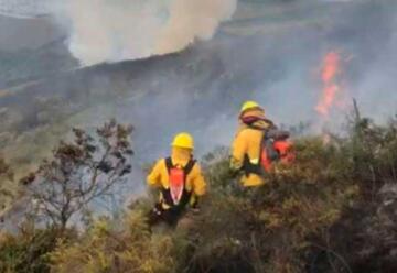 Bomberos de Quito controlaron incendio forestal en el cerro Atacazo