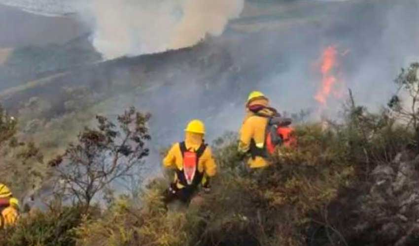 Bomberos de Quito controlaron el incendio forestal en el cerro Atacazo