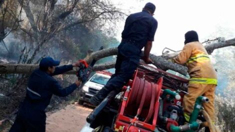 Un árbol cayó sobre un móvil de Bomberos de Mburucuyá