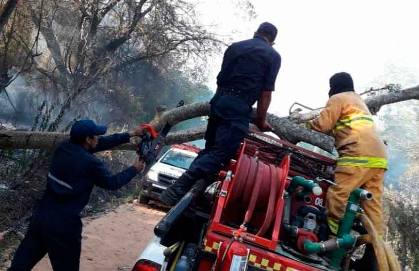 Un árbol cayó sobre un móvil de Bomberos de Mburucuyá