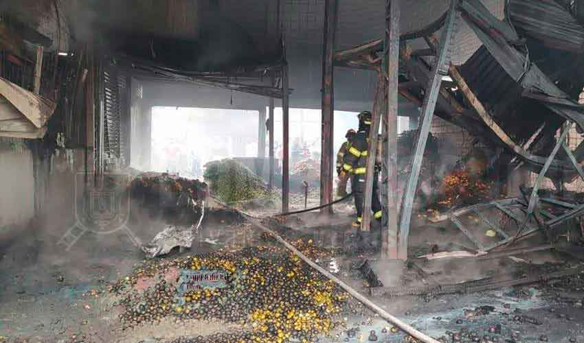 17 galpones del Mercado Mayorista de Quito afectados por un incendio