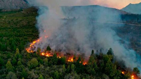 El Bolsón: Feroz incendio en la zona de Cuesta del Ternero