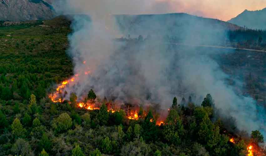 El Bolsón: Feroz incendio en la zona de Cuesta del Ternero