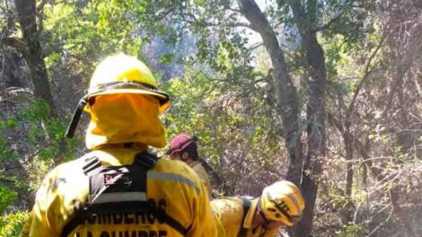 Cinco bomberos debieron ser evacuados en El Bolsón