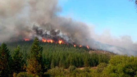 Incendios en Chubut: continúan trabajando en dos focos activos