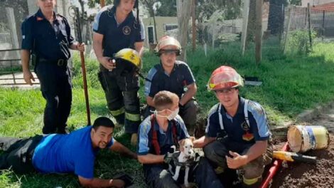 Bomberos rescataron a un perrito que cayó en un caño