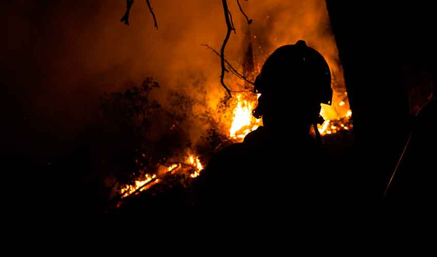 Nace TEP, el primer programa global de formación en incendios forestales