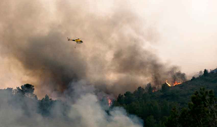 Nace TEP, el primer programa global de formación en incendios forestales