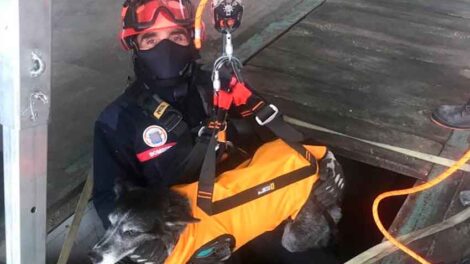 Los Bomberos mejoran sus equipos para rescatar mascotas