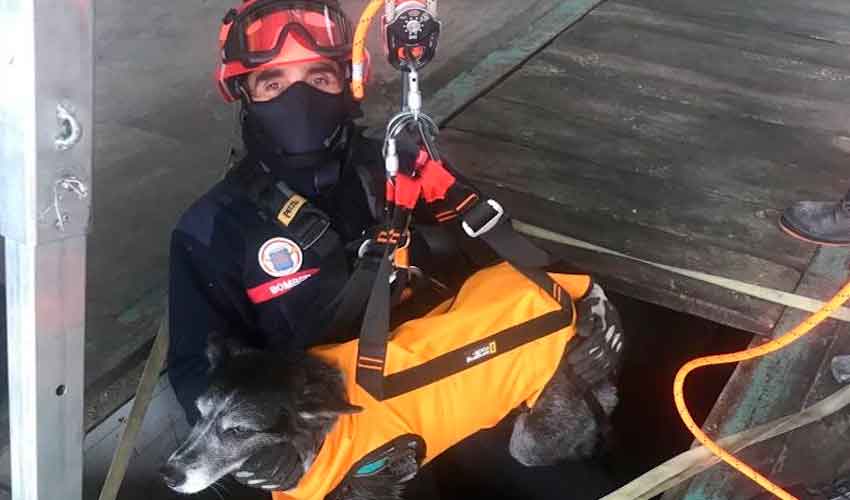 Los Bomberos mejoran sus equipos para rescatar mascotas